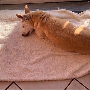 Meet your Posher, Andrea